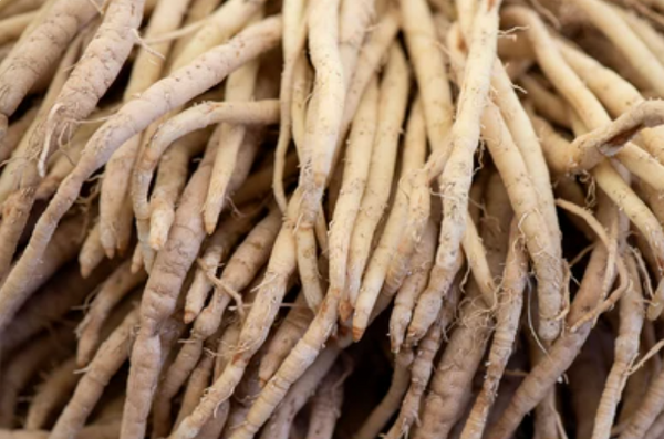 Organic Shatavari